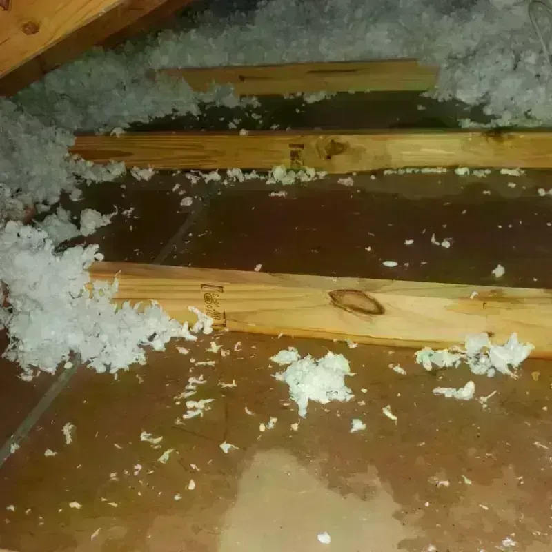 Attic Water Damage in Dumas, TX