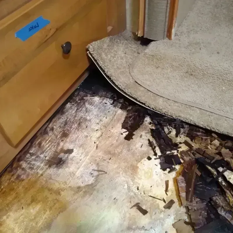 Best Wood Floor Water Damage Service in Dumas, TX